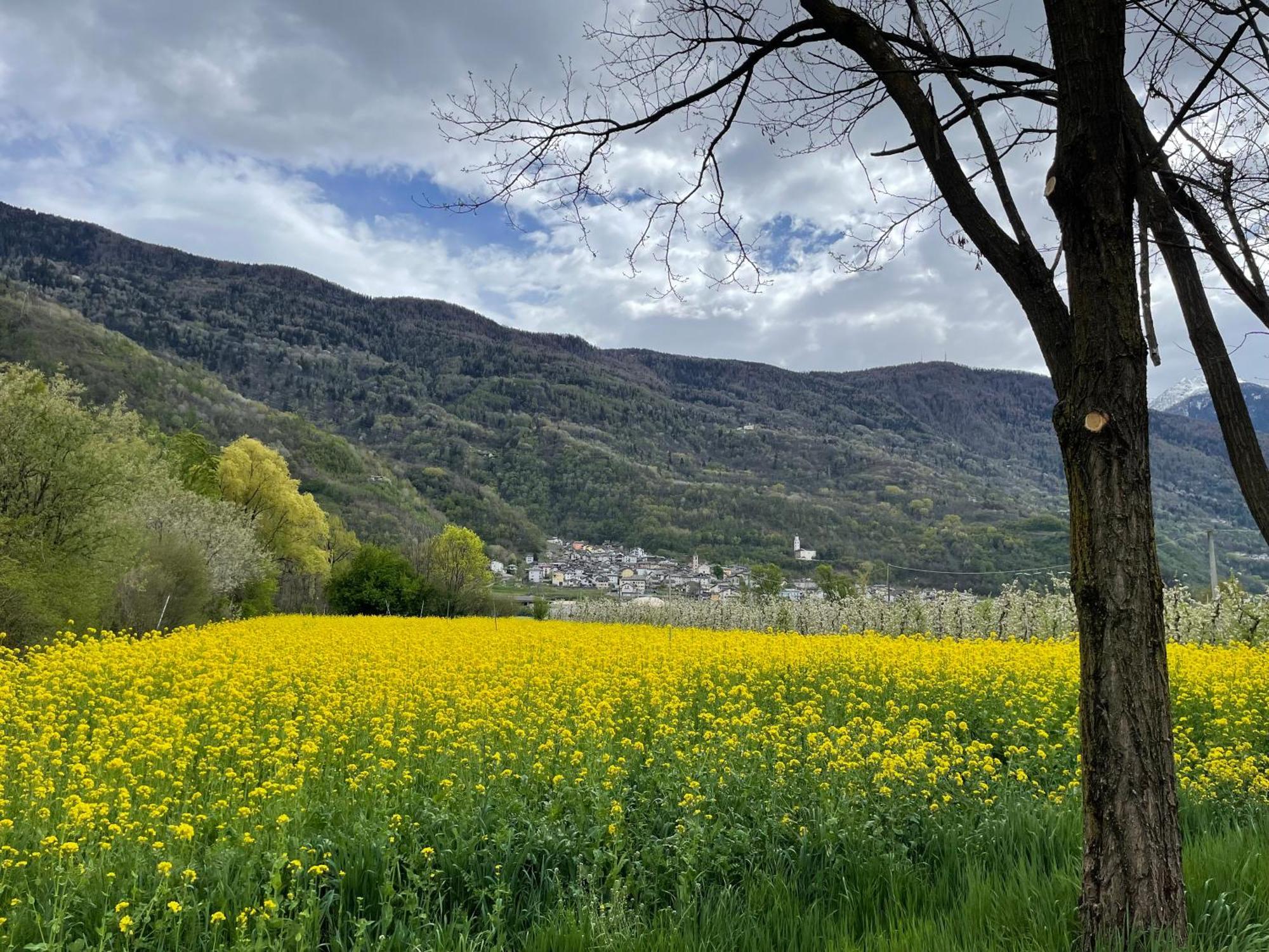 Отель Ca Marasciol A 5 Minuti Dal Trenino Rosso Del Bernina Express Villa di Tirano Экстерьер фото